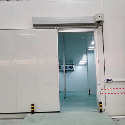 bulbs cold room cold storage room for meat mini cold room