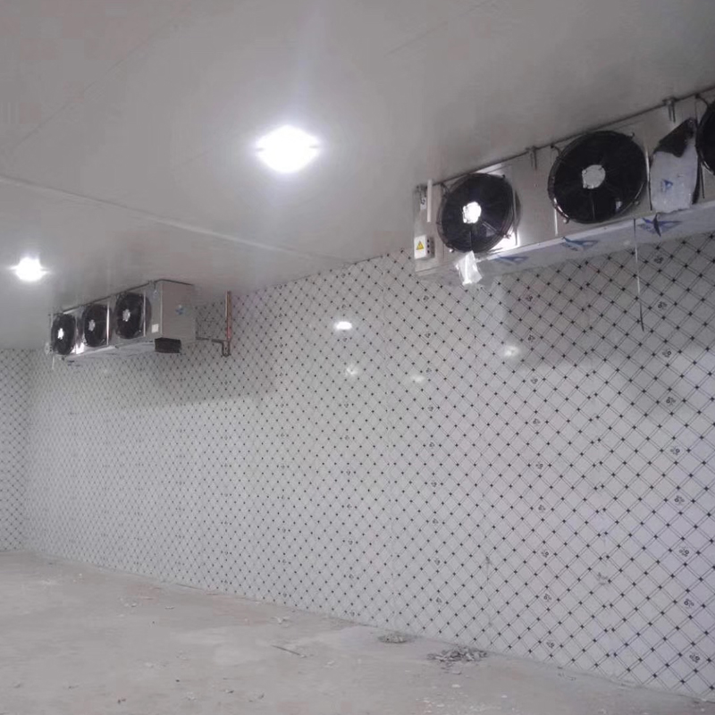 HHTP0044-柬埔寨S医院医药冷库建造 (1).jpg