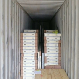 cold room panel polyurethane insulation cold room panels for sale in pretoria cold room panels manuf