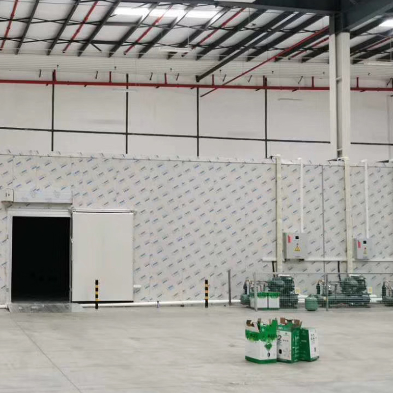 Cold Storge Room coolroom doors for food store