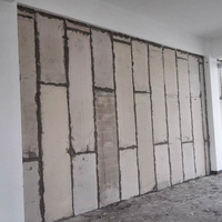 EPS cement sandwich panel 800 (14).jpg