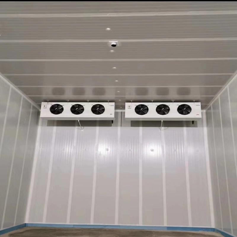 HHTP069 澳大利亚蔬菜冷库 (2)