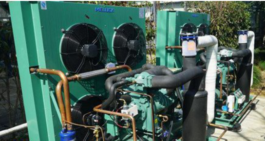 HHTP0067 菲律宾 专用生物血浆冷库 (2).png